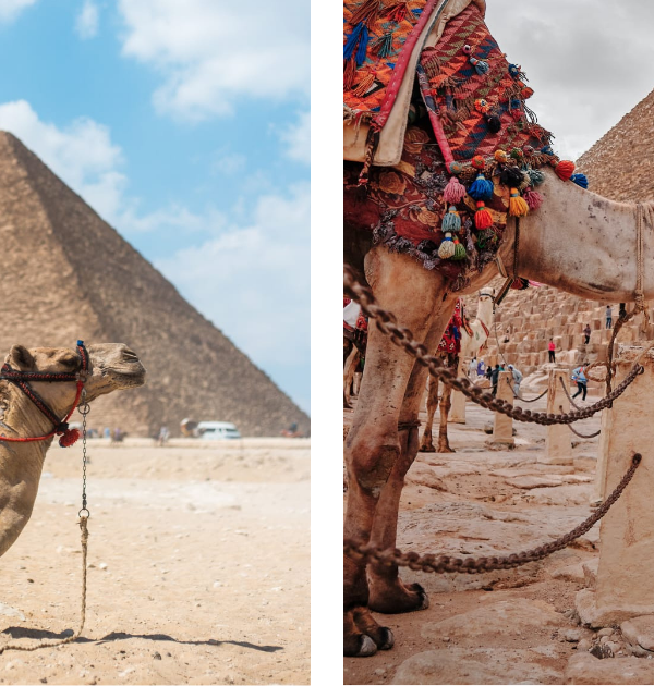 Egypt Unveiled: Essential Tips for a Safe and Memorable Trip